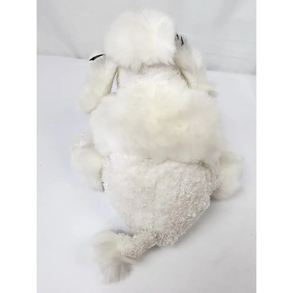 White French Poodle Dog 9